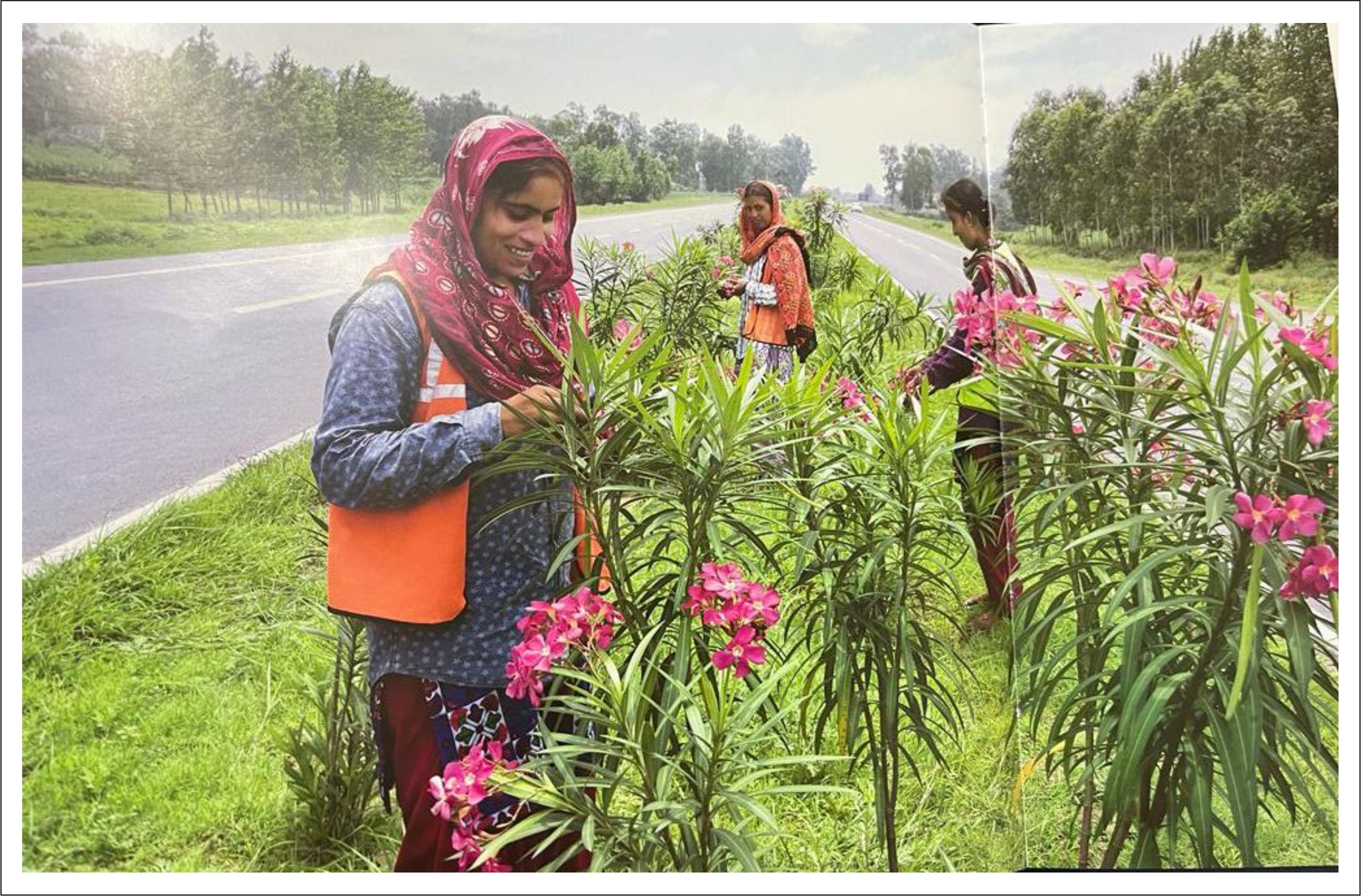 Business Consulting Blog